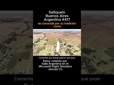 Salliquelo, Buenos Aires desde el Microsoft Flight Simulator #salliquelo #buenosaires #msfs #joaha45