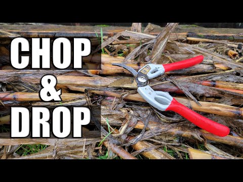 Garden Quickies Volume 1 Episodes 1 to 10