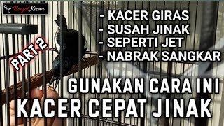 Download lagu Tame Kacer Giras - This Way Kacer Tame Faster - Stage 2 mp3 Download lagu Tame Kacer Giras - This Way Kacer Tame Faster - Stage 2 mp3