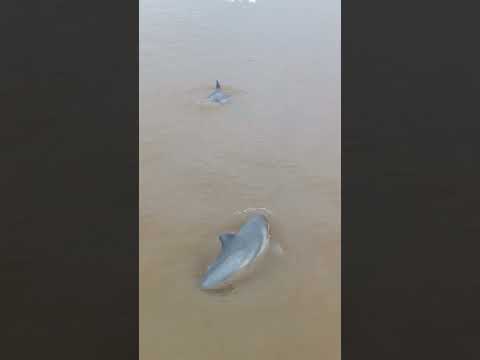 solo en Leticia amazonas ven y disfruta de esta hermosa experiencia 🤠