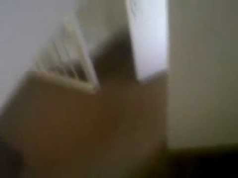 shooting on my Brother whit BGun