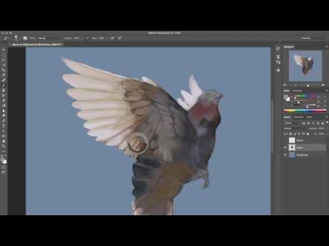 Paint realistic bird feathers in Photoshop