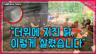 "닭 더위 탈출 대작전! 직접 설치한 안개 분사기" 10분만에 설치 완료!