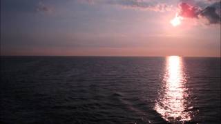 Wallis Bird - Measuring Cities