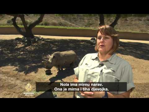 Al Jazeera Svijet - 19.07.2015.