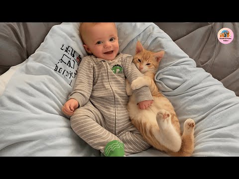 Wilbur the Cat Thought Baby Charlie Was His Brother — And Never Left His Side