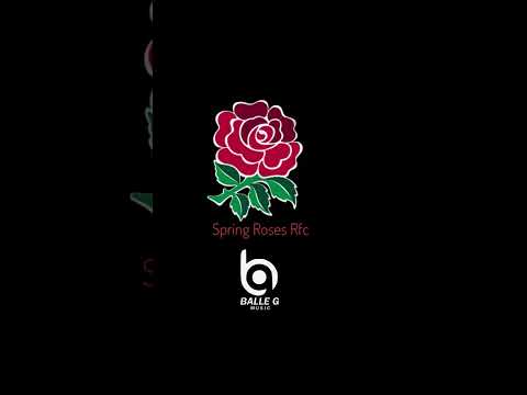 Spring Roses [Oudtshoorn] - Balle_G