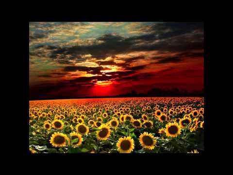 [dunkelbunt] ft Amsterdam Klezmer Band - La Revedere