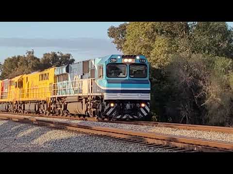 CBH/Aurizon Triple Diesel Locomotive Freight Train #trainspotting #trainspotter #freighttrain #rail