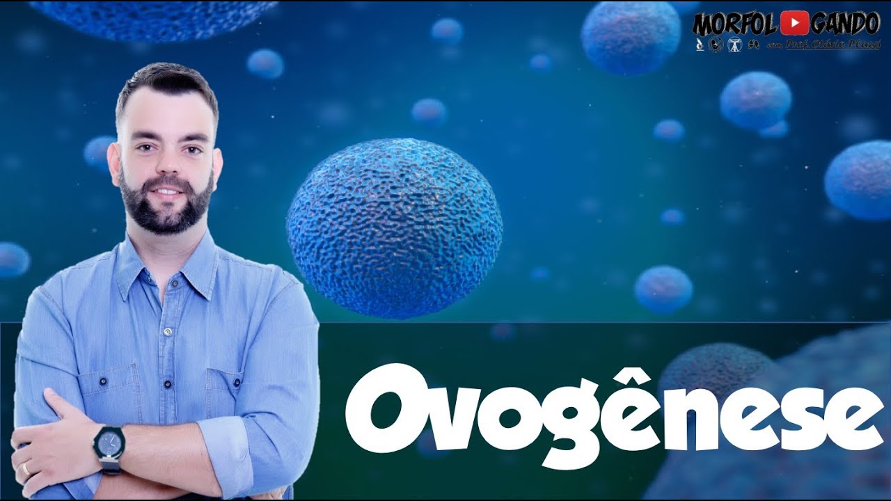 Ovogênese (Oocitogênese) - Embriologia Geral - Prof. Otávio Plazzi