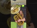 Can It Blast Music Brass Challenge Fyp Band Musician Tuba Flute Helicon