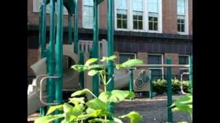 preview picture of video 'Chicago Parks - Lynman Budlong Elementary Playground 1'