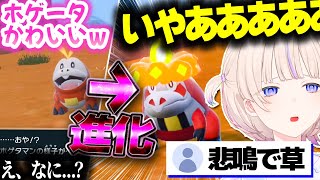 ホゲタマン(ホゲータ)の進化した姿に悲鳴を上げるばんちょーｗｗｗ【ホロライブ切り抜き/轟はじめ/ポケモンSV/アチゲータ/ReGLOSS/DEV_IS】