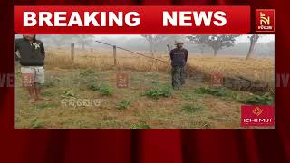 କେନ୍ଦୁଝରରେ ଗୋଠଛଡା ଦନ୍ତା ହାତୀର ଉପଦ୍ରବ । ଘର ଭାଙ୍ଗିବା ସ