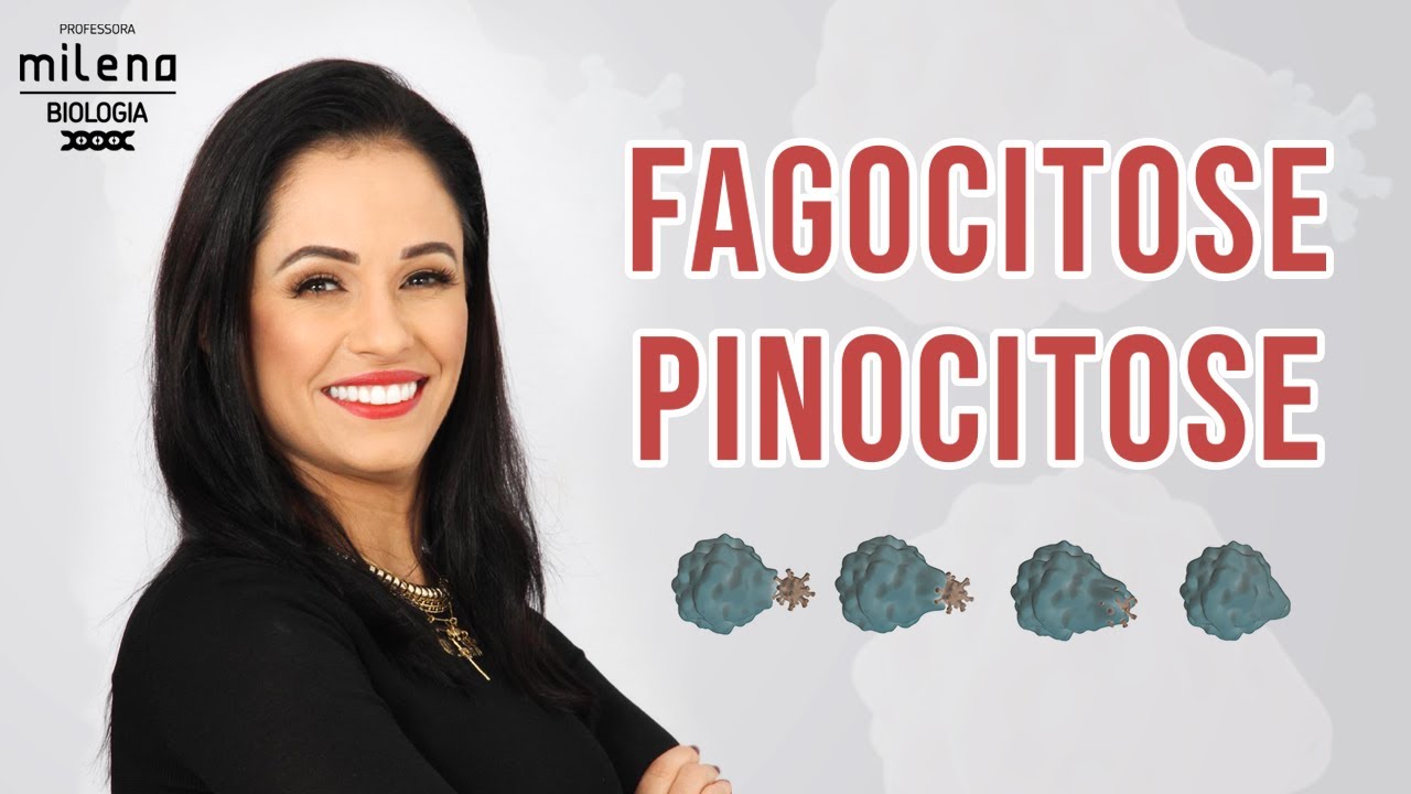 Fagocitose pinocitose
