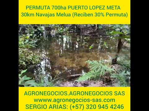 PERMUTA 700ha PUERTO LOPEZ META - 30km Navajas Melua (Reciben 30% Permuta)