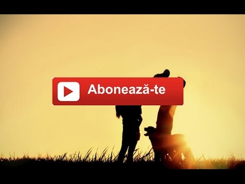 Vizante - Sub aripa familiei