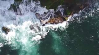 44 Monash Parade, Dee Why Point