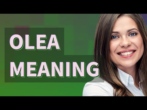 Olea | meaning of Olea