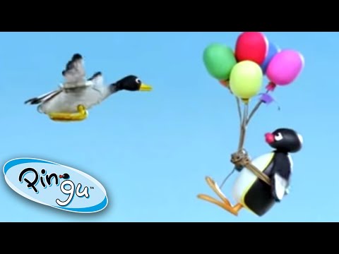 Pingu Flies Away on a Balloon! 🎈 | Pingu Official | Cartoons for Kids