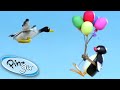 Pingu Flies Away On A Balloon Pingu Official Cartoons For Kids
