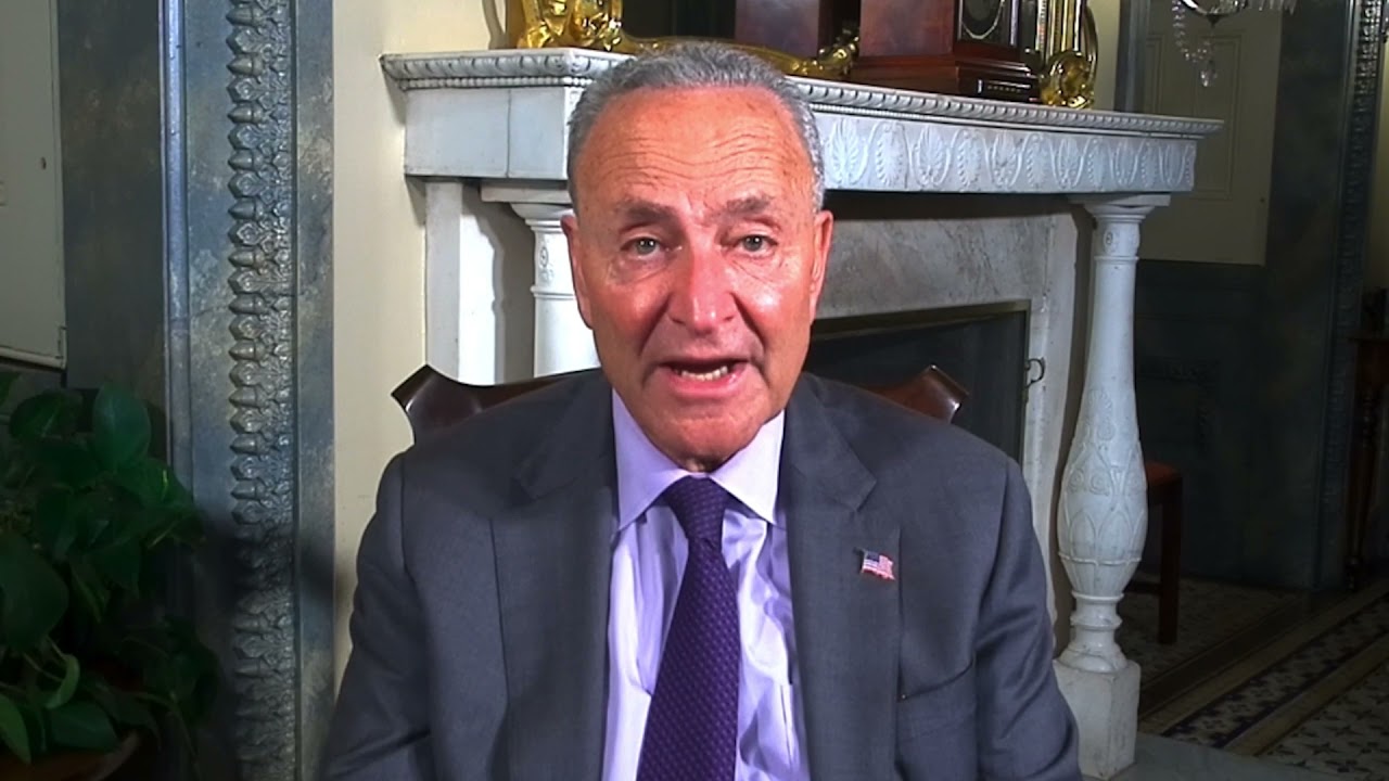 Senator Chuck SCHUMER supports Cultural Museum Of African Art