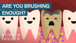 Here&#39;s What Happens If You Stopped Brushing Your Teeth
