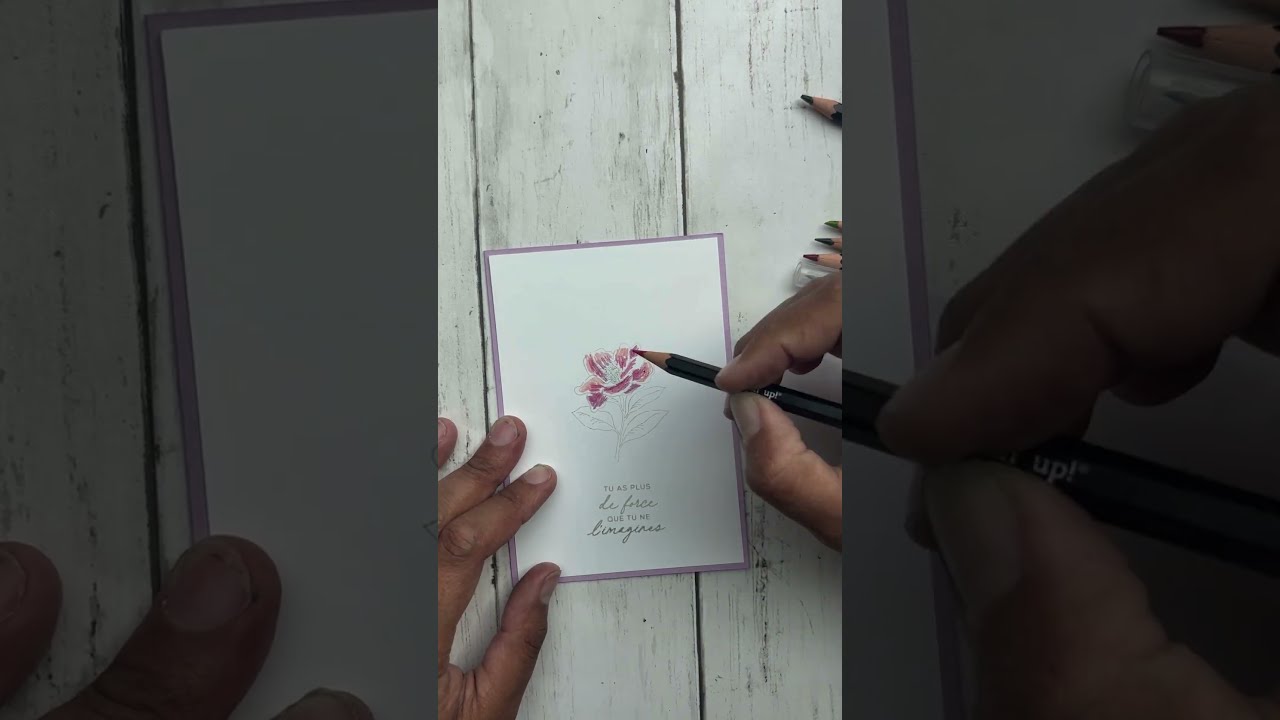 Effet aquarelle et crayon aquarellables sans contour facade placeholder