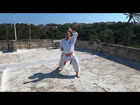 HEIAN SHODAN - (step by step )
