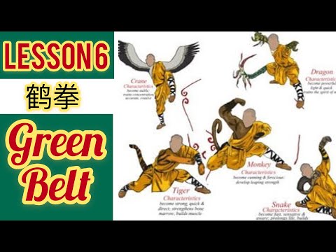 animal kung fu for beginners / learning kung fu at home  lesson 6 / crane kung fu hand techniques