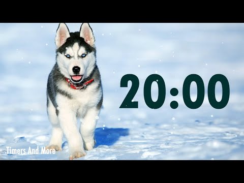 20 Minute Dog Timer 🐶 | Dog Barking Alarm