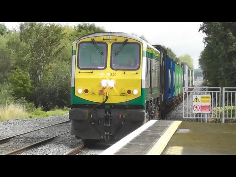 Irish Rail 201 locomotive 220 + IWT freight Liner - Monasterevin Station, Kildare