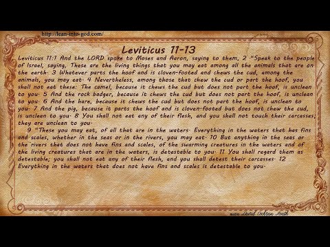 Leviticus 11-13