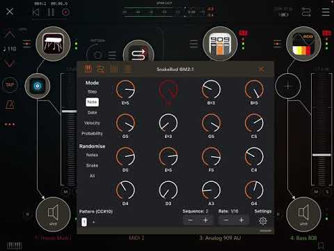 SnakeBud Sequencer Snake Patterns