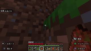 マイクラ参加型！参加はプレステ限定で！