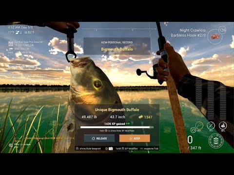 Fishing Planet-Unique Bigmouth Buffalo - Blue Crab Island
