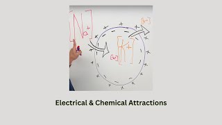 Bio 5 Gradient Lecture