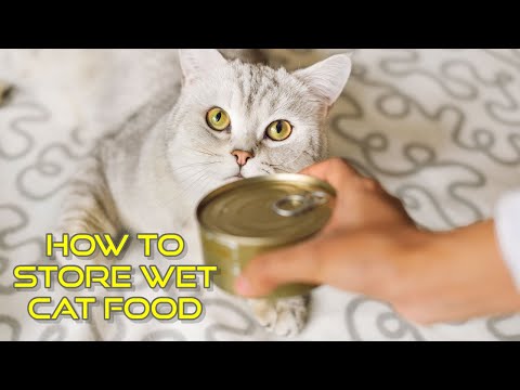 YouTube video about: Can canned cat food go bad in heat?