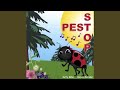 Ladybug Boogie