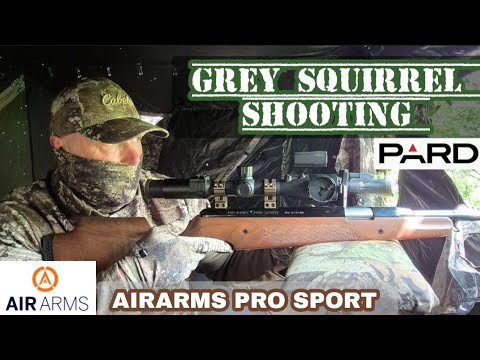 SQUIRREL SHOOTING WITH THE AIRARMS PRO SPORT.