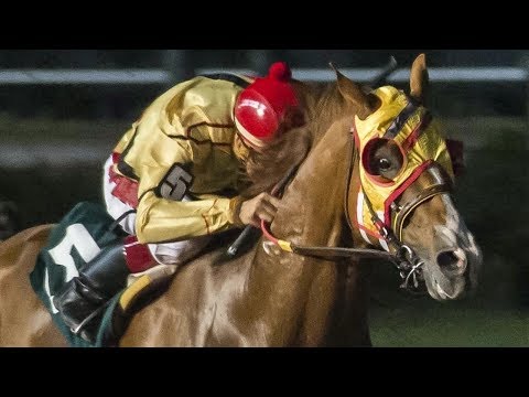 Weekend WrapUp - Jul 31, 2017