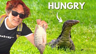 i fed GIANT lizzards in Thailand