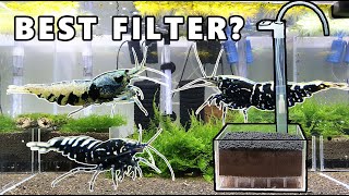 Best filter for SHRIMP TANK? Undergravel filter setup for Caridina Shrimp