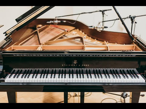 Marius Leicht - Die Reise der Örmimi (Steinway version)