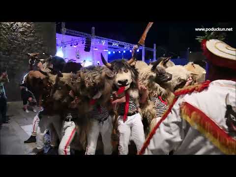 Dolazak Halubajskih i Zametskih zvončara te Grobničkih dondolaša na Maškarani klapski maraton