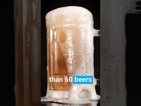 100 Beers vs. 73 Beers — Who’s King?
