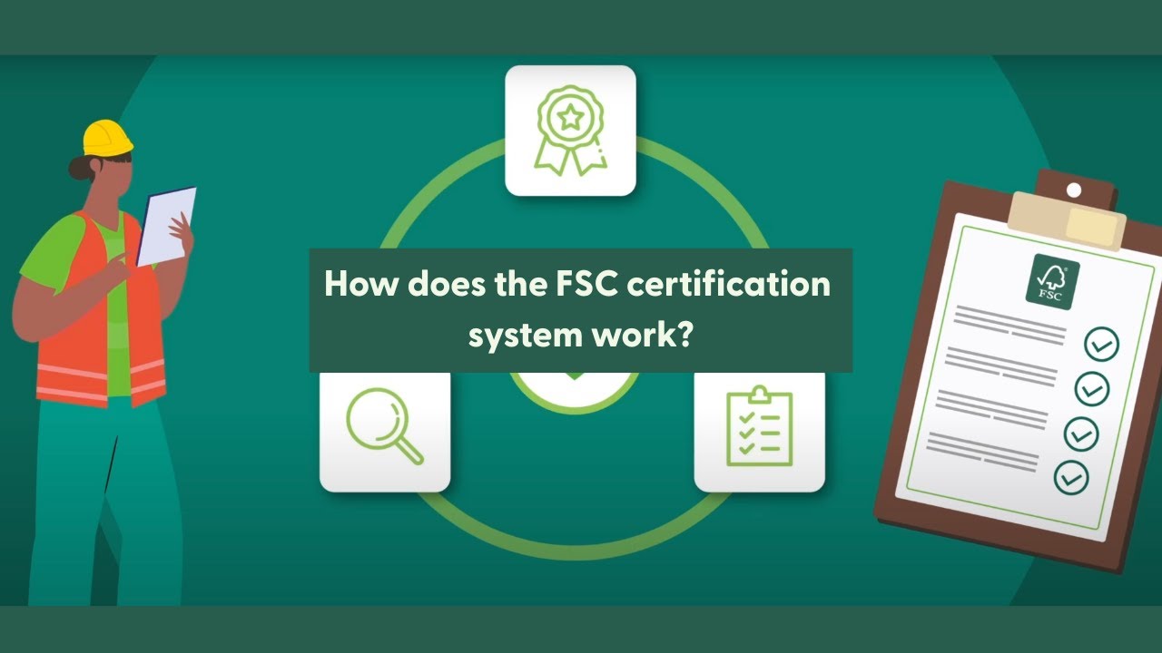 How does the FSC certification system work?