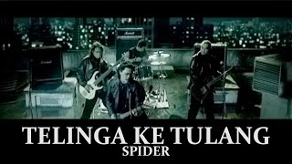 Download lagu Spider Telinga Ke Tulang... mp3