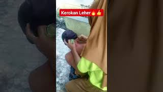 Download lagu balsem lang enak banget buat kerokan #kerokan #pijatpengobatan #mual #rindu #rantauan #kerjakeras mp3