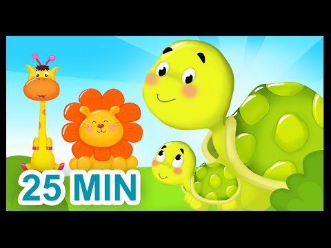La famille Tortue - 25 min - Comptines sur les animaux pour les bébés